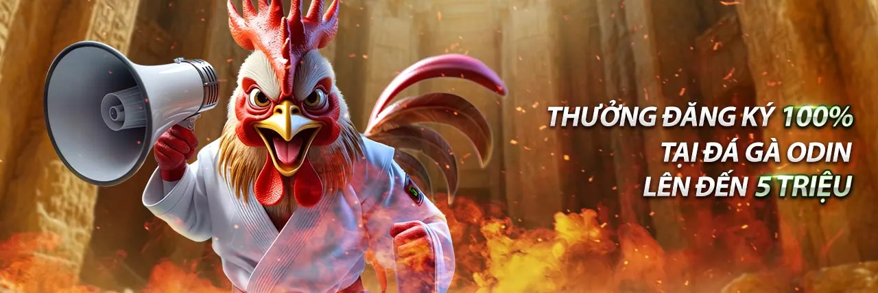 Ứng dụng 33vin trên điện thoại di động